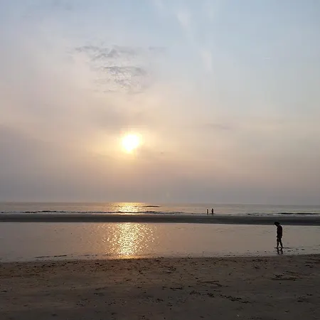 Pension Dolce Vita * Wijk aan Zee